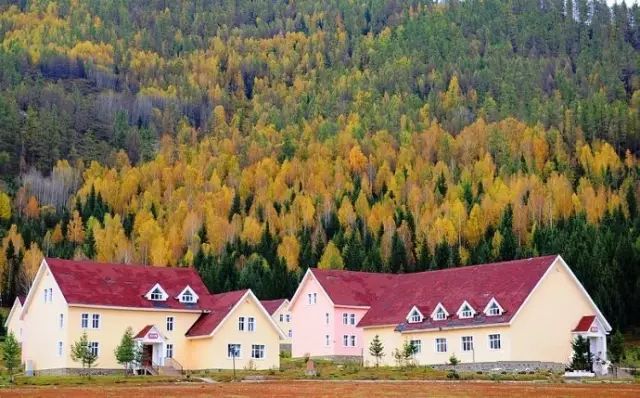 阿勒泰秋天有多美,秋天的新疆阿勒泰太美