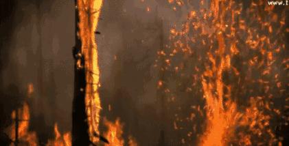 清鼻涕变成黄鼻涕加重还是变轻,小孩由清鼻涕到黄鼻涕怎么回事