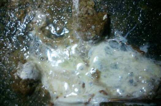 鸡粪对鸡病有什么作用,观察鸡粪怎么判断鸡病