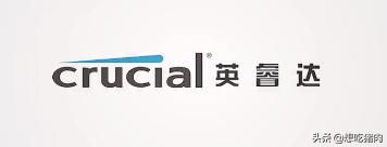 固态硬盘哪个品牌寿命最长,办公用固态硬盘哪个品牌好