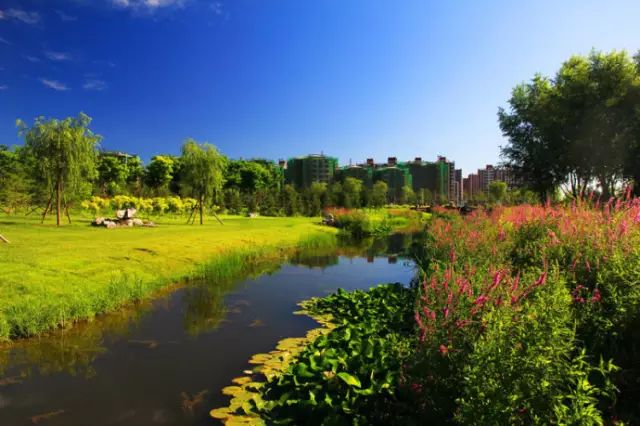 北京房山团建踏青地点推荐,北京房山春季旅游最佳去处