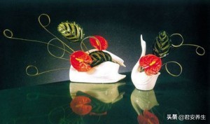 在深圳开花店怎么运营,深圳花店免费教学视频