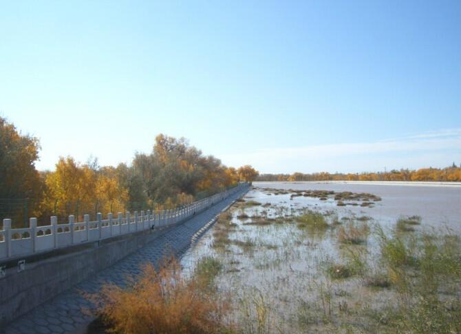 成都到额济纳旗五日游,南京到额济纳旗旅游攻略