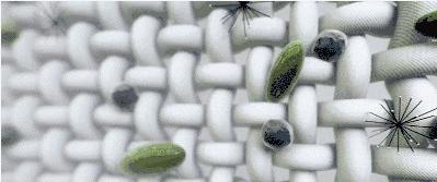 衣服经常洗总是穿上会痒,晚上脱了衣服就浑身痒是怎么回事