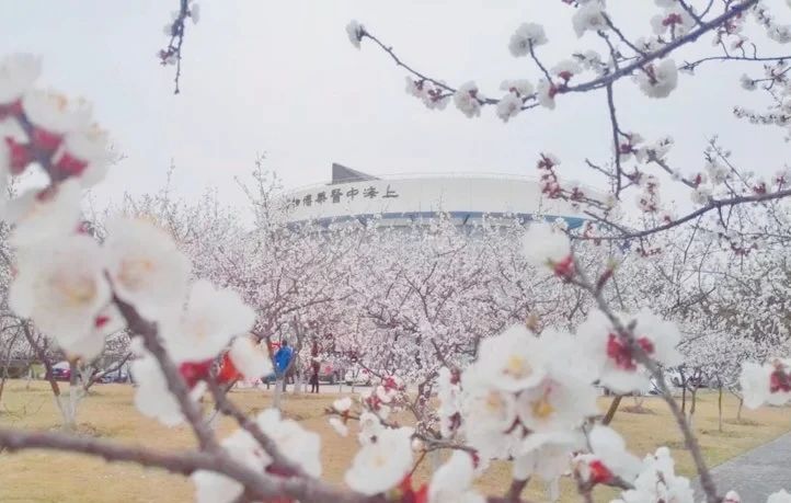 疫情过后再去看看风景,疫情结束后的人间仙境