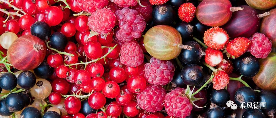 德国大城市生活,德国逛超市的日常生活