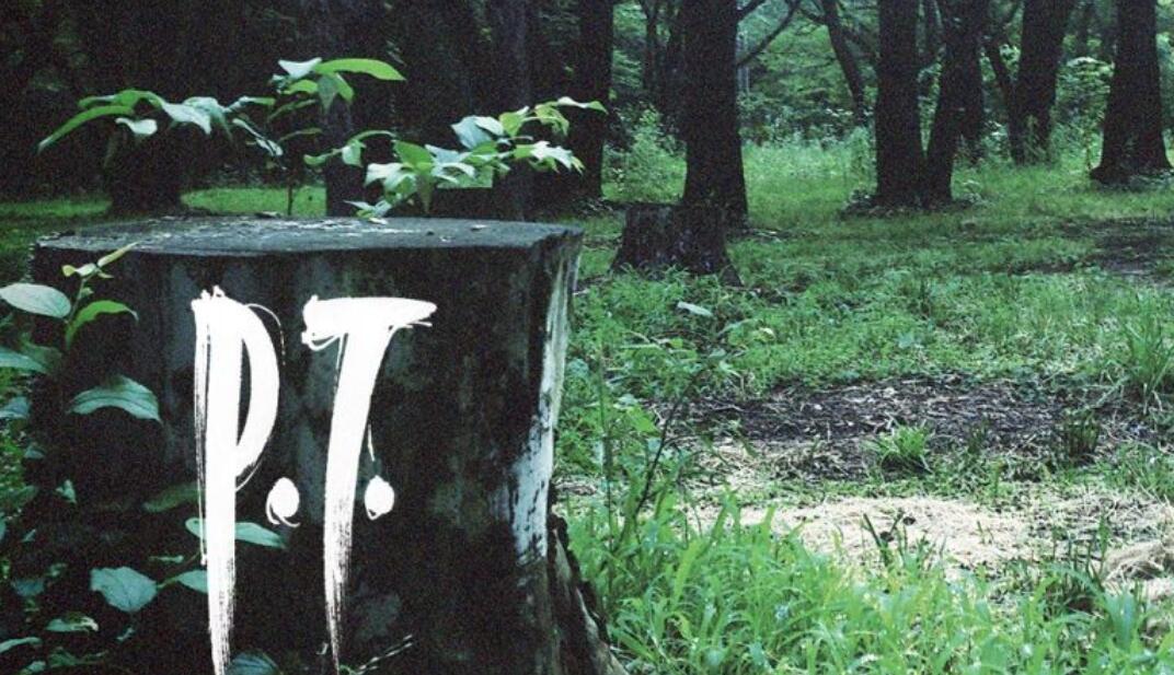 寂静岭为什么会让人害怕,寂静岭真的是一个救赎的地方吗