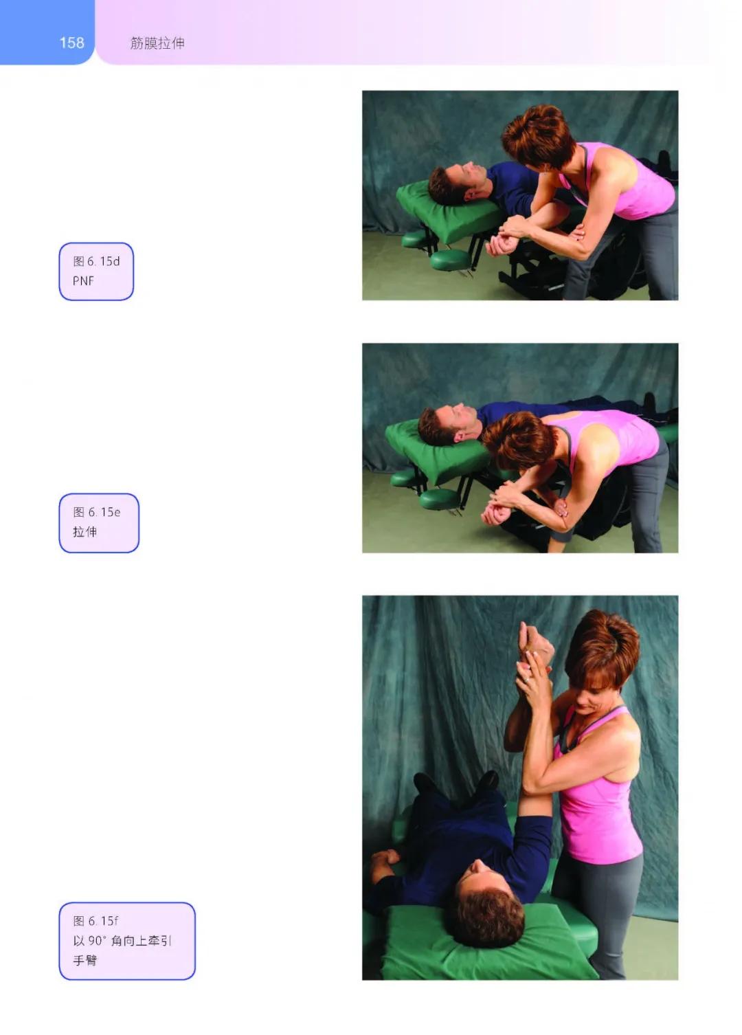 筋膜拉伸技术,筋膜和拉伸的区别