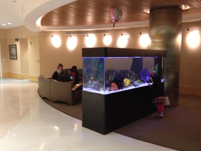 赴美生子之首次产检,赴美生孩子全攻略