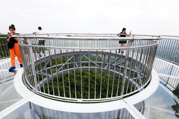 海南呀诺达热带雨林文化旅,三亚诺达雨林旅游攻略