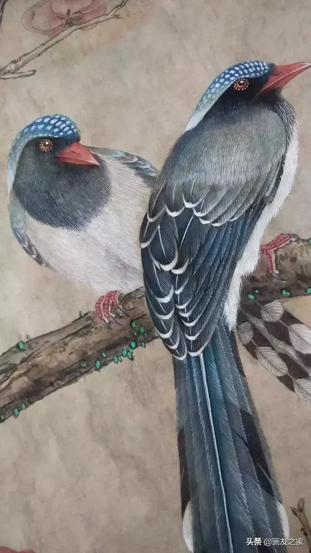 陈松岩工笔白描画全集,陈松岩工笔国画