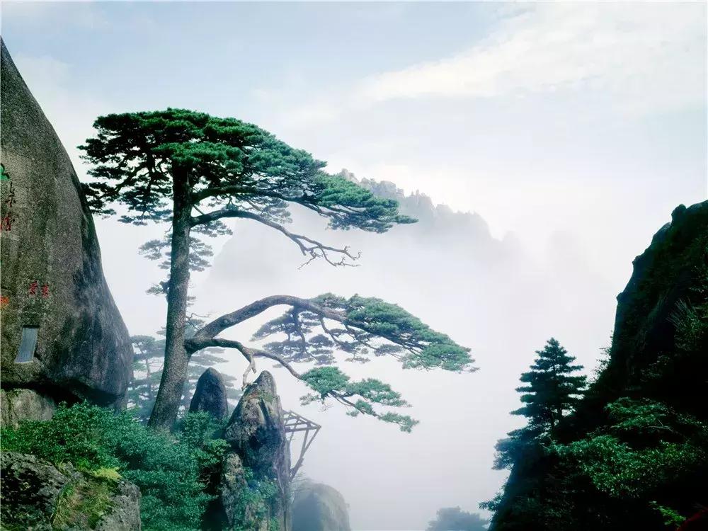 黄山美图横版,黄山风景美图