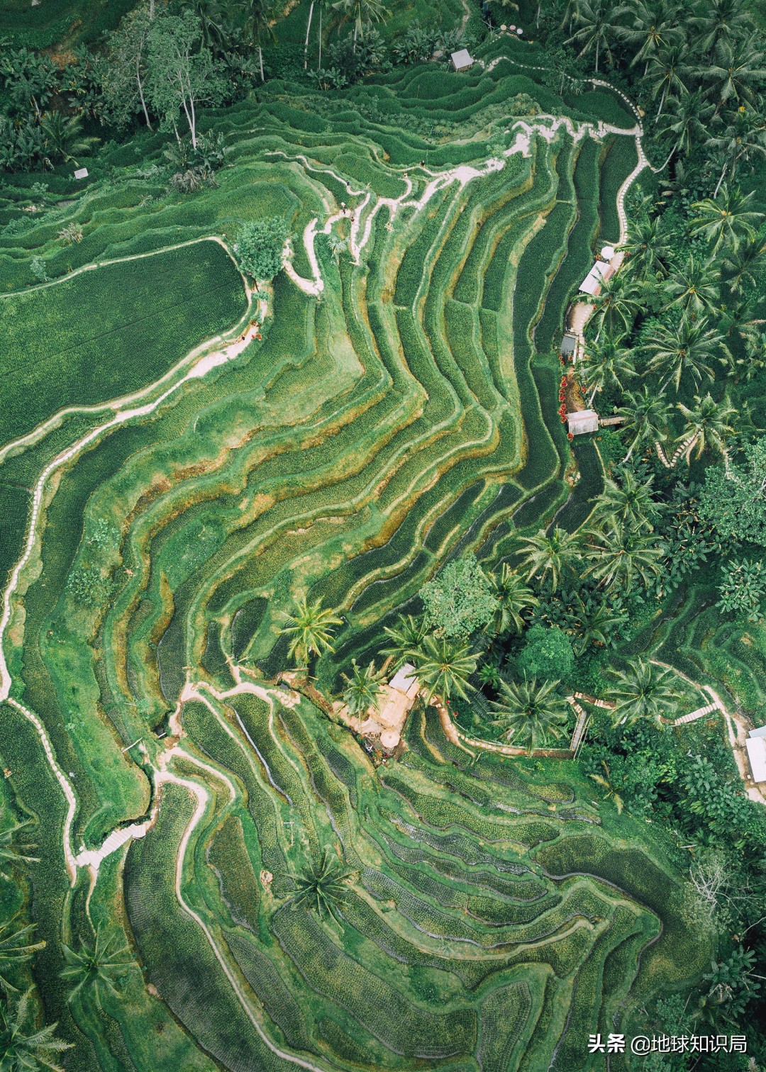 印尼在亚洲的实力排名,印尼有几亿人