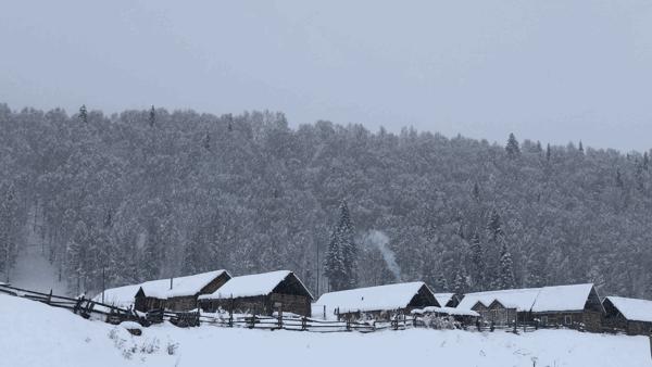 鍫瘮鐟炲+鐨勪腑鍥芥粦闆満,濯茬編鐟炲+