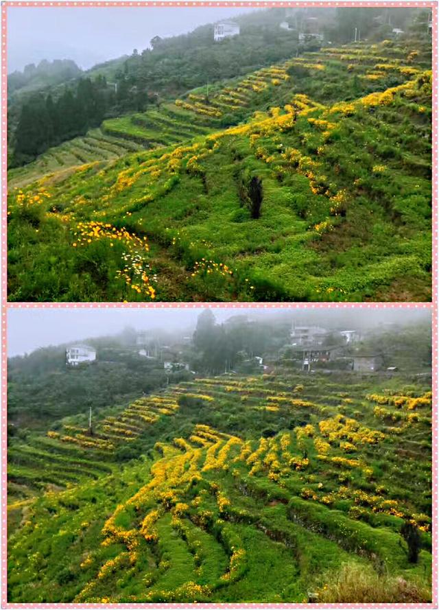 福州永泰云顶景区旅游攻略,福州永泰云顶旅游团购