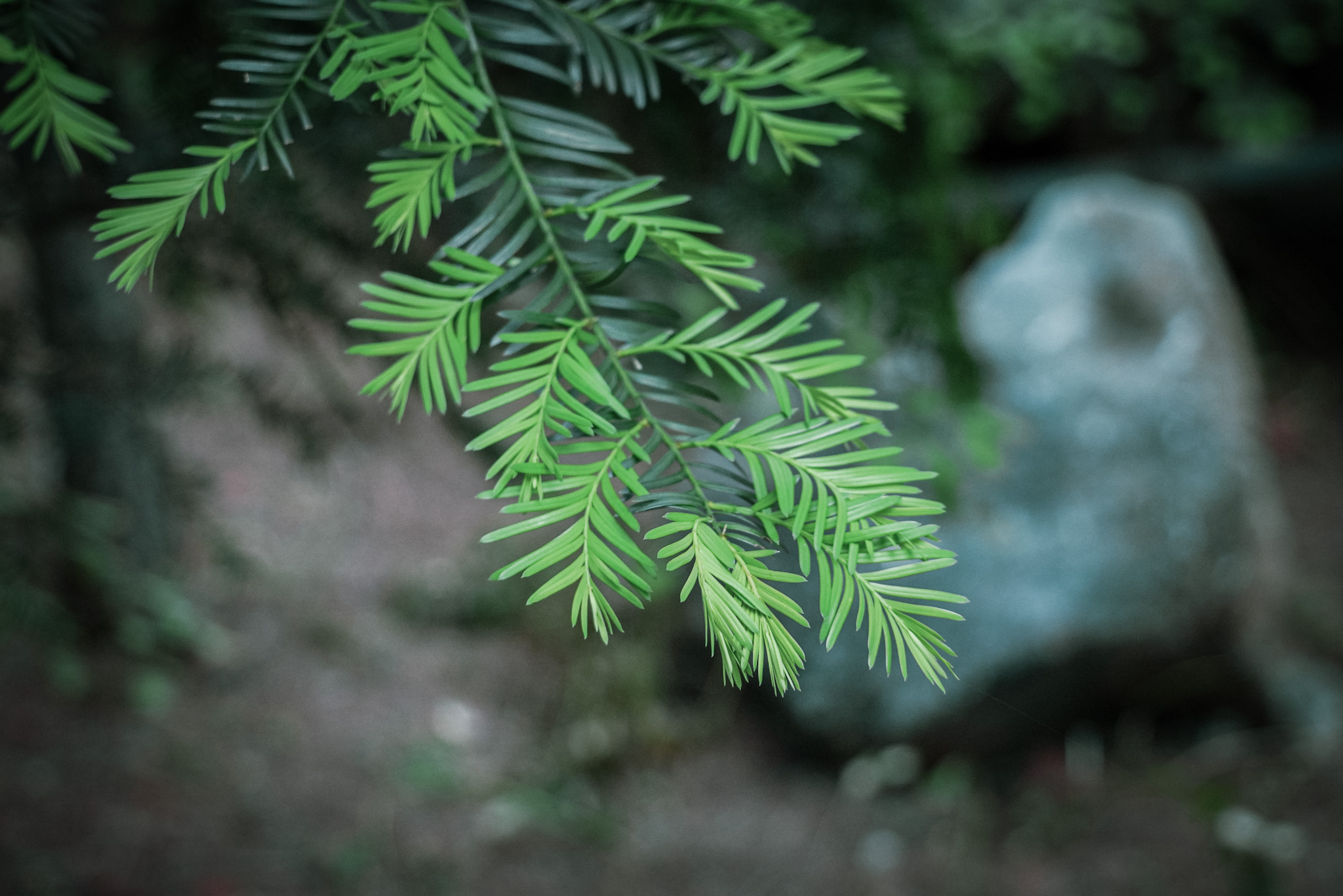 郴州仰天湖民宿多少钱一晚,郴州民宿一晚多少钱