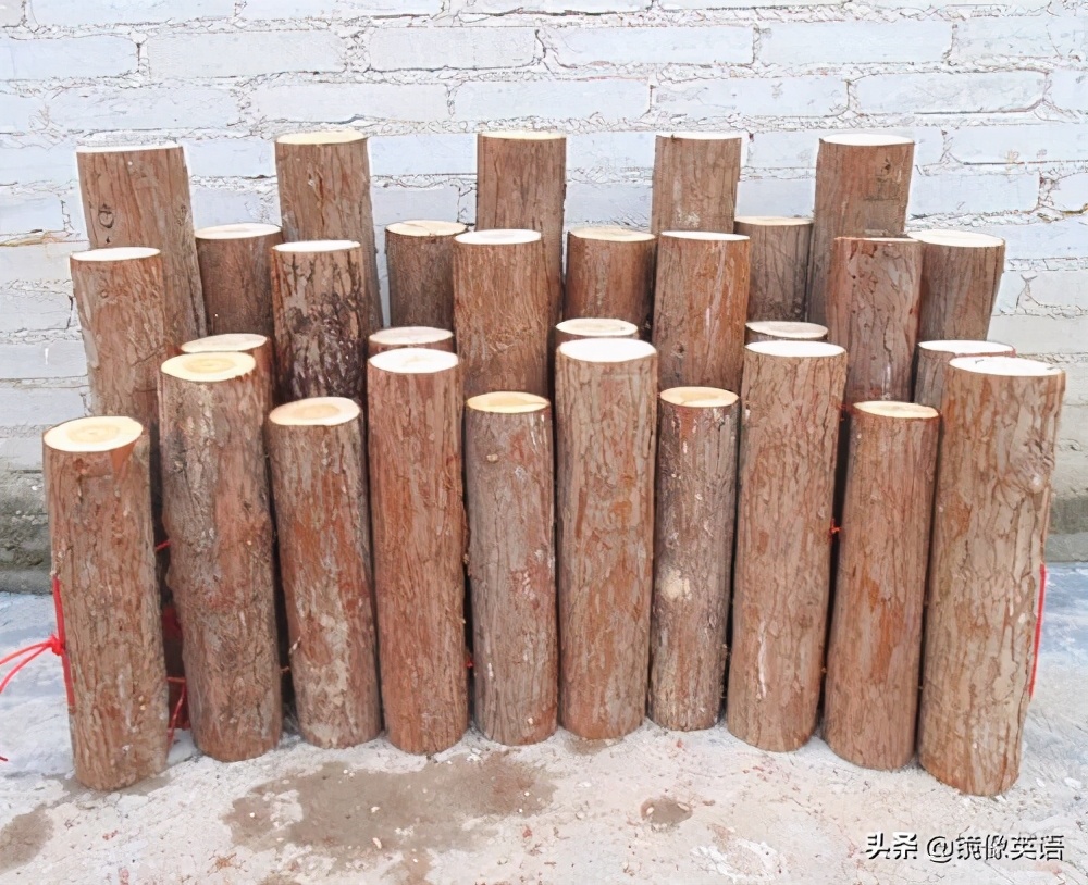 野营之光—瑞典火炬，是一种高效的烹饪篝火