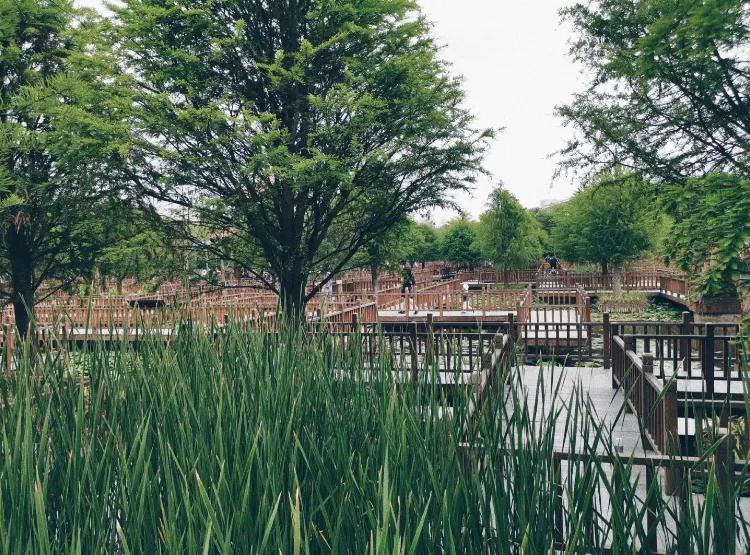 厦门旅游岛是什么岛,厦门旅游岛是哪个岛