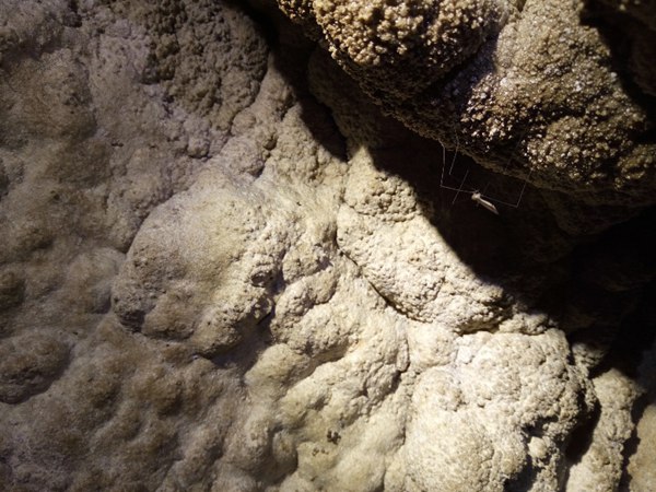 16岁留美高中生回国科考，变身“老鼠人”下悬崖探8000米洞穴