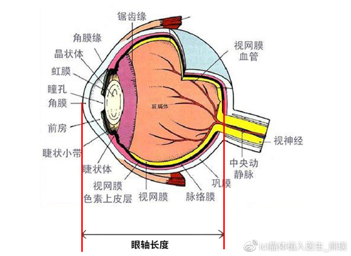 哺光仪能减少近视度数吗,哺光仪对眼轴控制真的有效吗