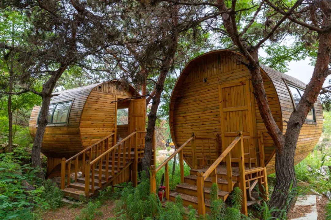 被央视打卡的梨花胜境，千亩白瓣状似雪花，济南莱芜区还有这些国家级景区不容错过！