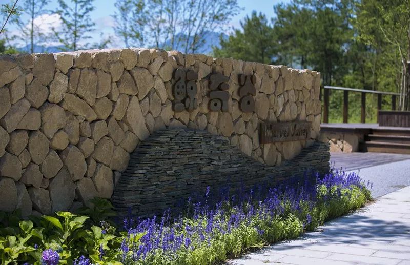 安吉是美丽的地方,安吉为什么是上海后花园