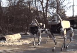 波士顿动力研发投入多少,波士顿动力公司展示机器人新技能