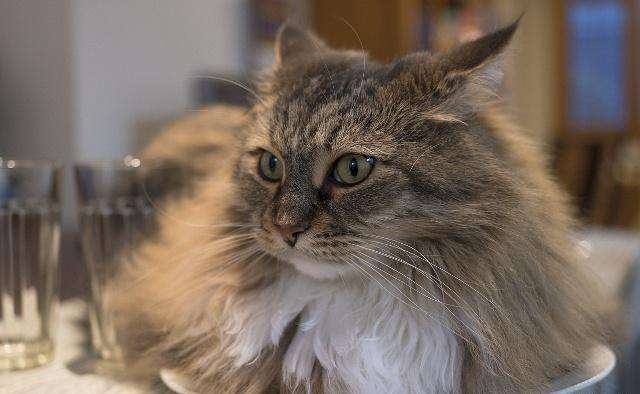 网红李佳琦直播5分钟,卖出15000支口红:逆袭的人生,从不靠奇迹