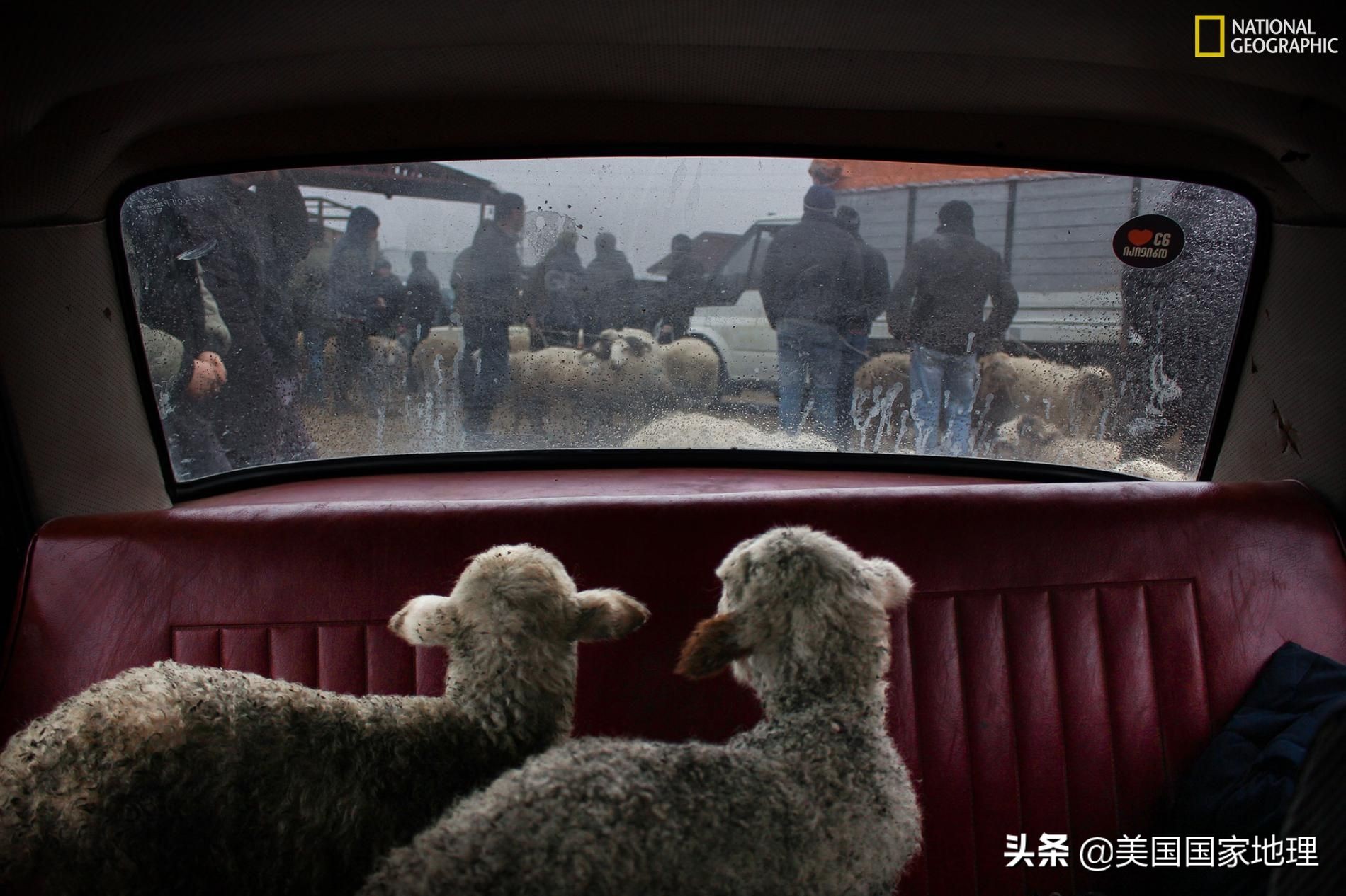 万中选一！大自然是怎样赋予照片灵魂的？