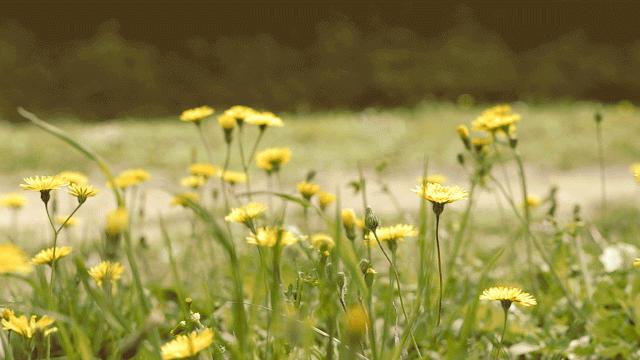 感染幽门螺杆菌吃什么食物,幽门螺杆菌感染2种食物建议忌口