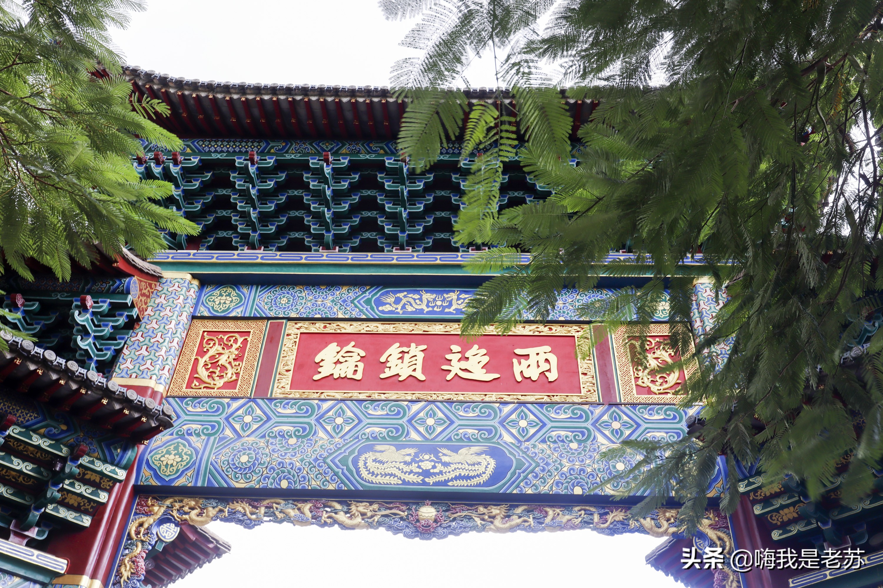 建水汽锅鸡放黑胡椒还是白胡椒,云南建水汽锅鸡怎样让汤更多