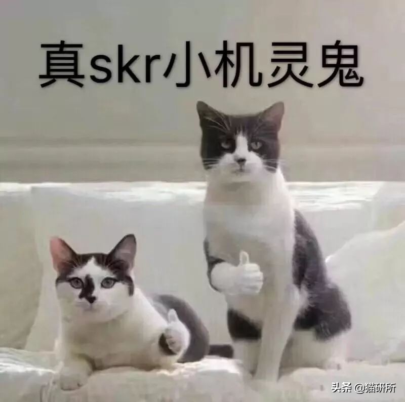 万里挑一加盟,万里挑一高手在哪里