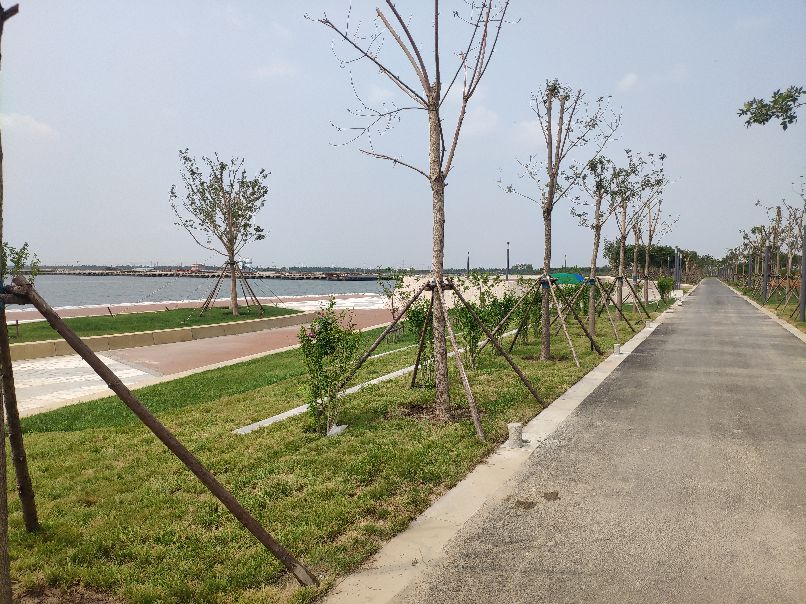 滨海临港经济开发区,滨海新区临港经济区都包括哪里