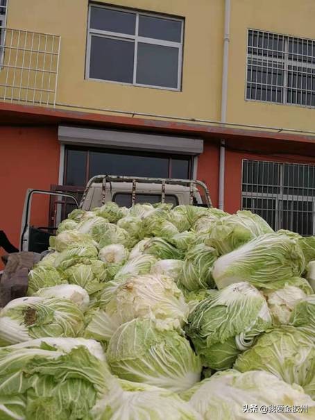 温暖同行众志成城抗击疫情,温暖同行共战疫情