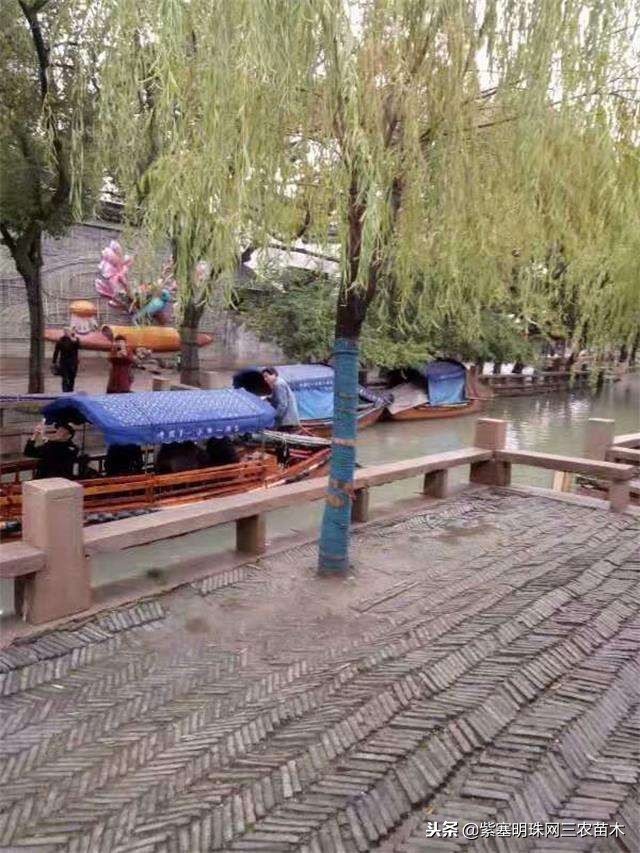 蓟州紫塞明珠农家院,紫塞明珠丰宁农家乐
