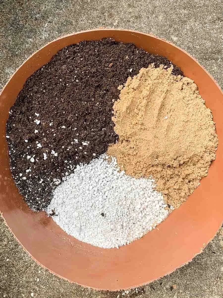 营养土怎么做肥沃最好,配制营养土的材料有哪些