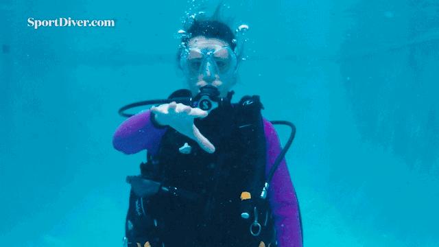 深潜与浮潜,深潜浮潜海钓