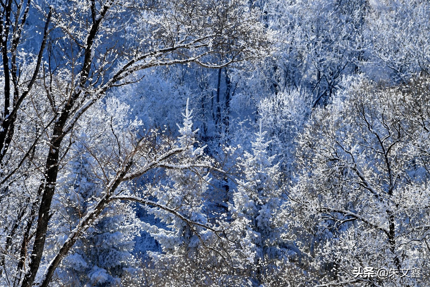 吉林柳河下雪,吉林省通化市柳河