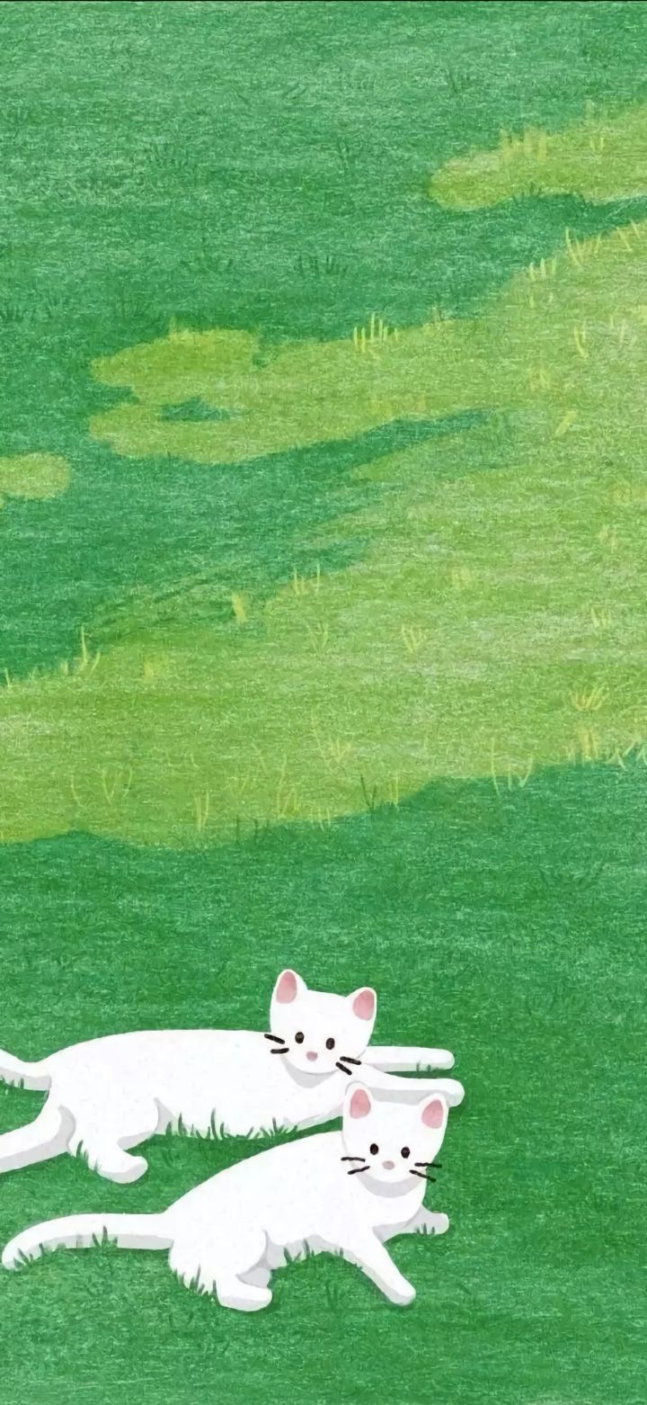 壁纸大全高清手机壁纸,手机壁纸精选高清壁纸