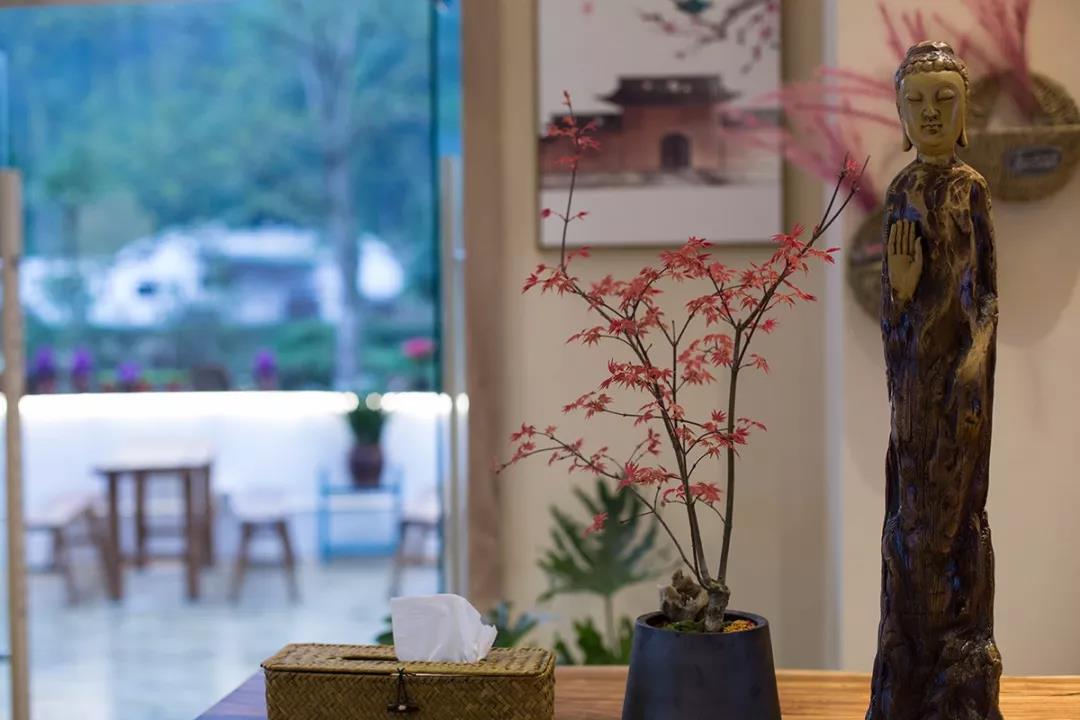 成都这家农家乐环境,成都周边清幽雅致农家民宿