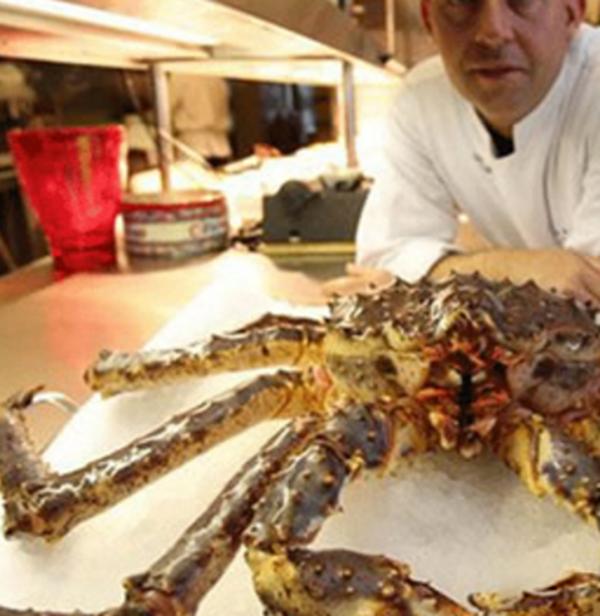 史上五大恐怖深海生物,海洋十大恐怖鱼