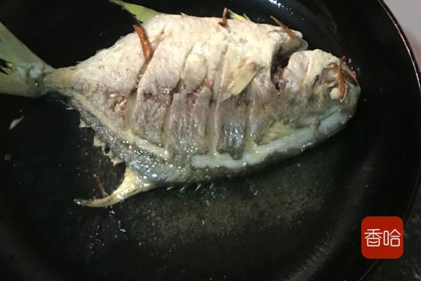 这鱼是“海里小人参”，1斤35，益气养血，护眼明目，贵点也值得