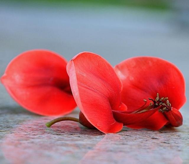 穷人为什么穷富人为什么富视频,穷人为何穷富人为何富看了就明白