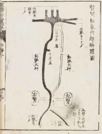 梦的类型与脏器的关系,梦和身体五脏六腑的对应关系
