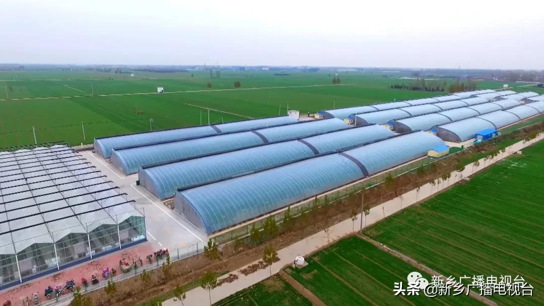 新乡县2020年的乡村振兴,河南新乡乡村振兴战略