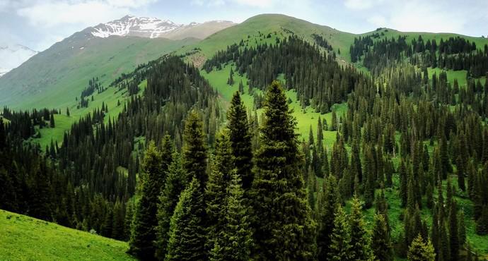 去新疆不跟团不自驾怎么玩,普通人不跟团去重庆自由行