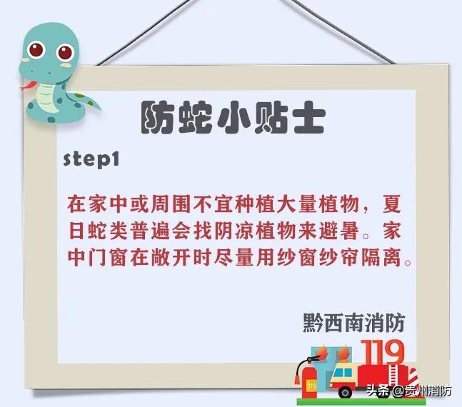 2米长蛇闯入房间,3米长蛇闯进浴室