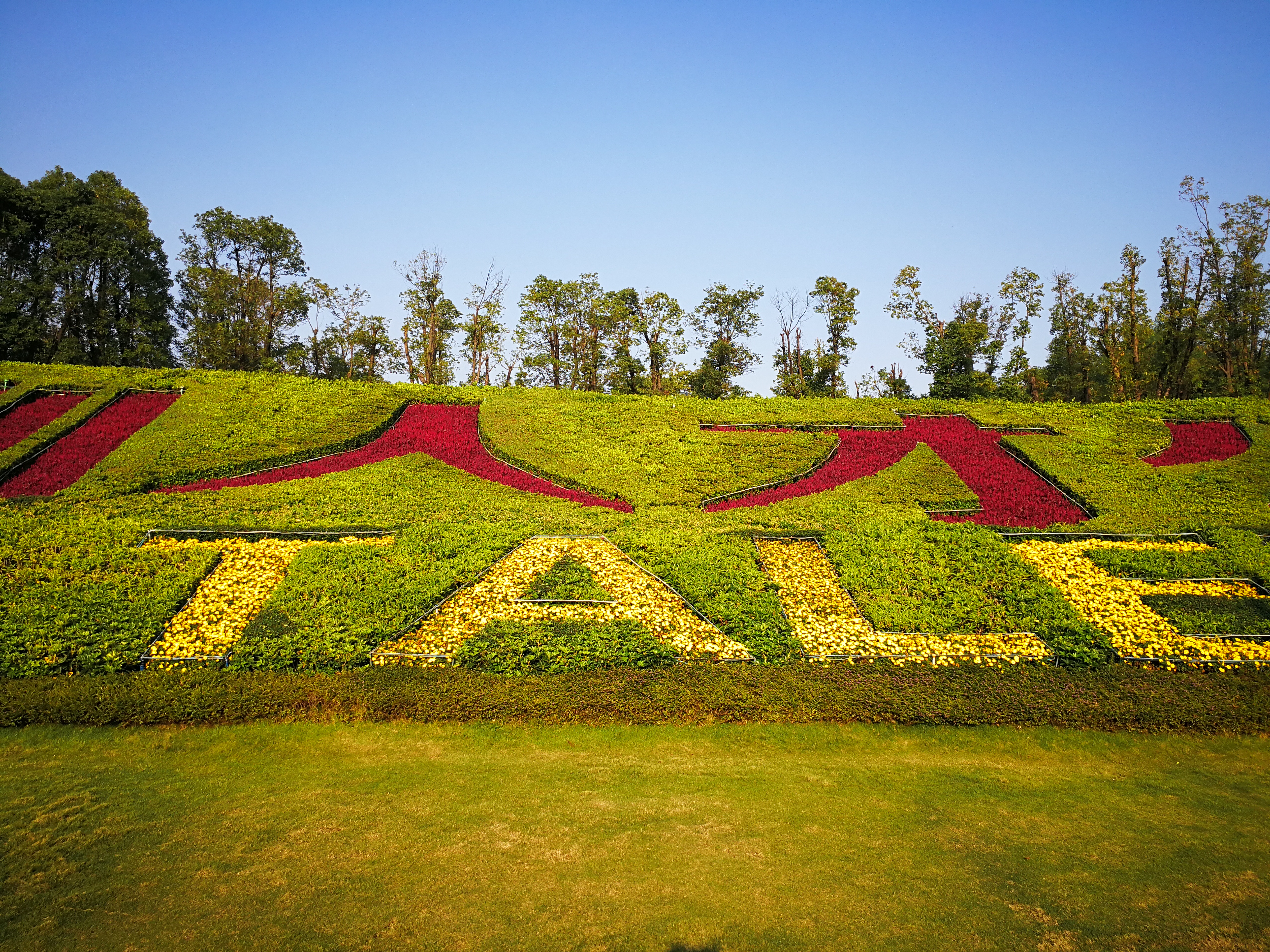 大学教学创新之“本科生发微文”（三）：你的六大收获