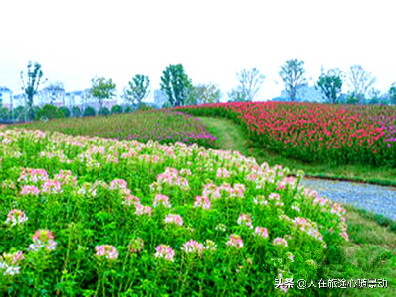 杭州余杭旅游景点大全排名榜,余杭区旅游景点