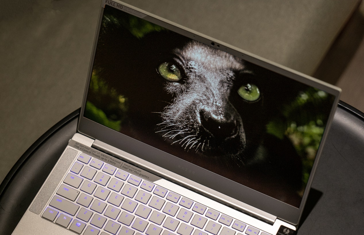 雷蛇灵刃15水银版续航,雷蛇灵刃1060标准版评测